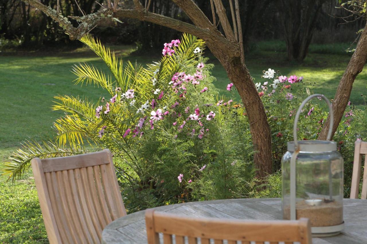 Villa Prat Bras - T1 - Cosy Clohars-Carnoët Dış mekan fotoğraf